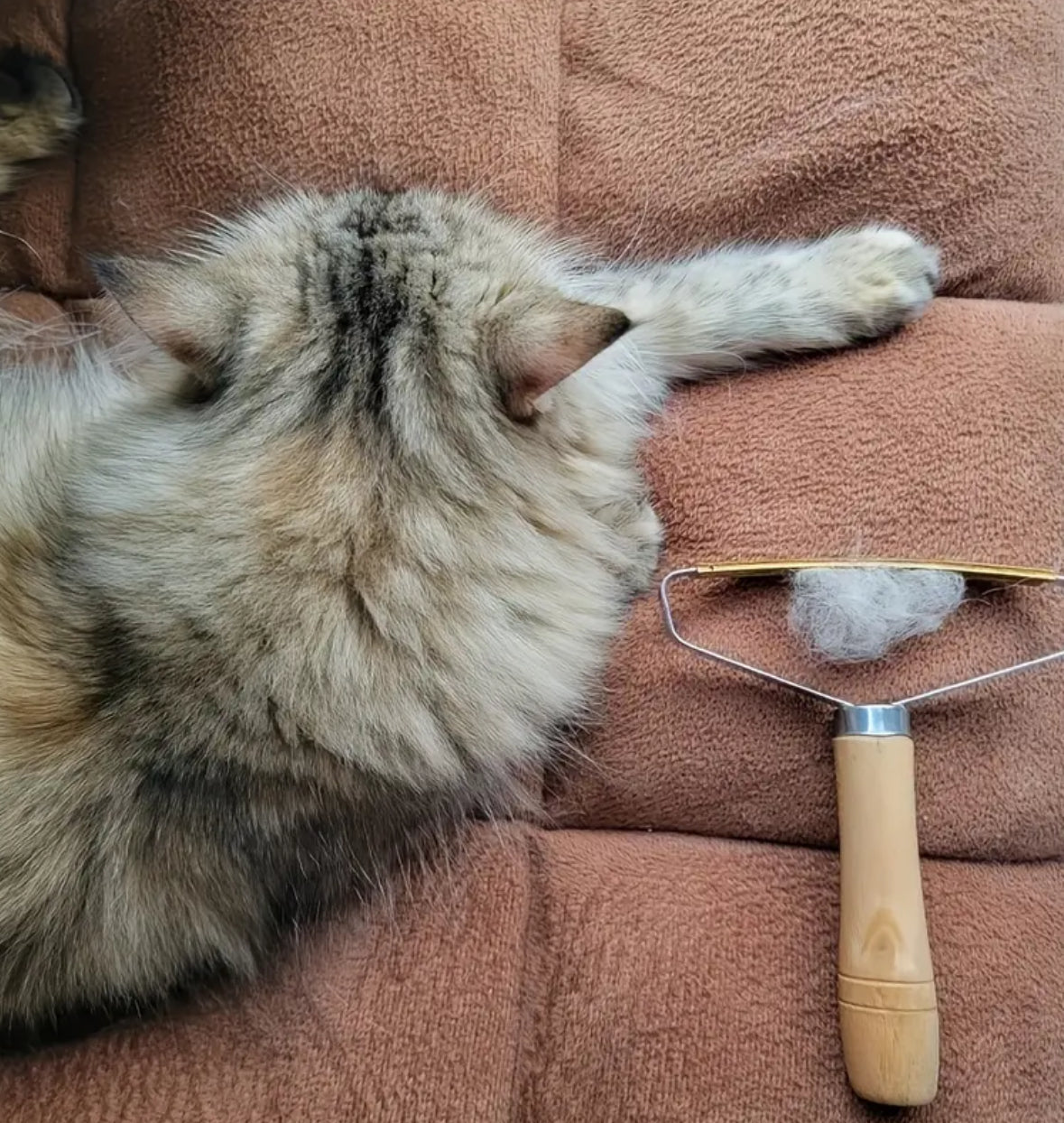 Buy 1 Get 1 FREE – PetPro Pet Hair Remover Scraper | Steel Lint Brush for Carpets, Sofas & Furniture | Manual, Non-Electric Cleaner for Dogs & Cats